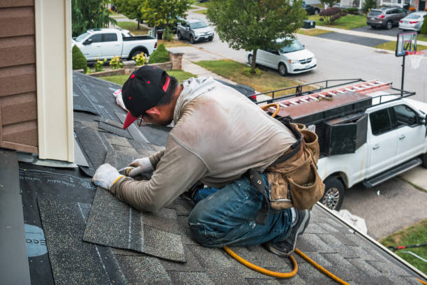 Professional Roofing technician working in Thief River Falls, MN